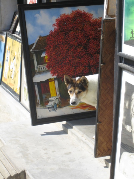 Hoi An Vietnam - City Walk
